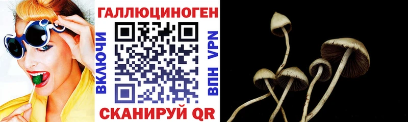 Псилоцибиновые грибы мухоморы  продажа наркотиков  Данилов 